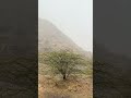 Rain in mountains #MountainVibes #NatureReel #mountains #NatureLovers #PeacefulPlaces #ExploreMore