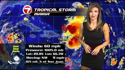 WSVN Weather Jule Durda short Black Dress 9/12/2011