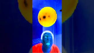 Sagawa1Gou Gummy Bear Song In G Major 21 Dont Take This Down