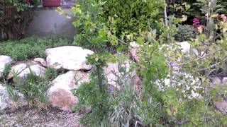 Sprint HTC EVO 4G LTE 1080P HD Video Recording Demo