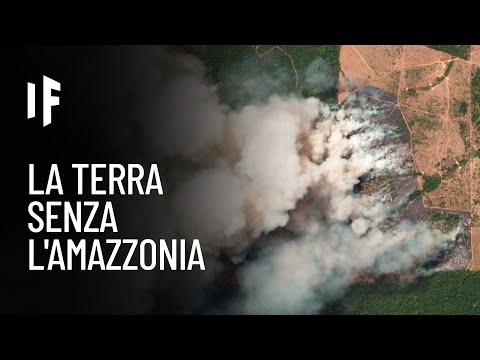 Video: Cos'è la fossa amazzonica?