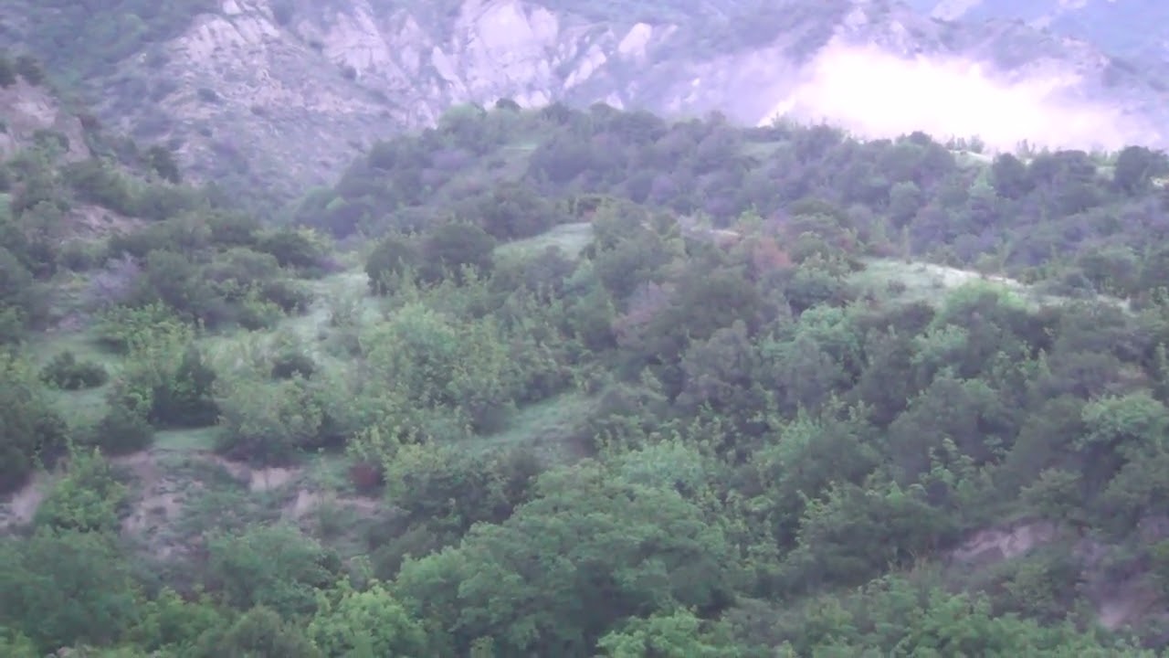 ხიფათა და წკეპლა