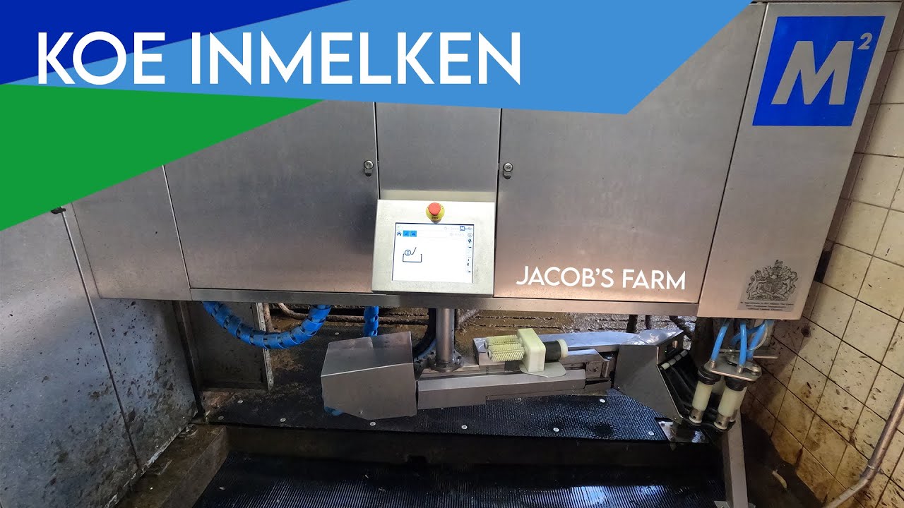 Koe voor het eerst inmelken - Uitleg video van Fullwood JOZ merlin M2 melkrobot