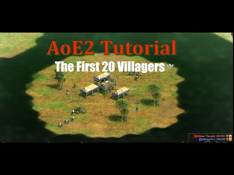 Beginner Guide to the First 20 Villagers in AoE2