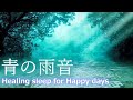 【雨粒が喜んでるような雨の音】気持ちよく眠れる 森の泉に飛び込む雨音と癒しと活性の528Hz+963Hzソルフェジオ(極微音量)🍀DNA修復・松果体活性・奇跡の訪れ🐞ASMR自然音|睡眠導入・睡眠用