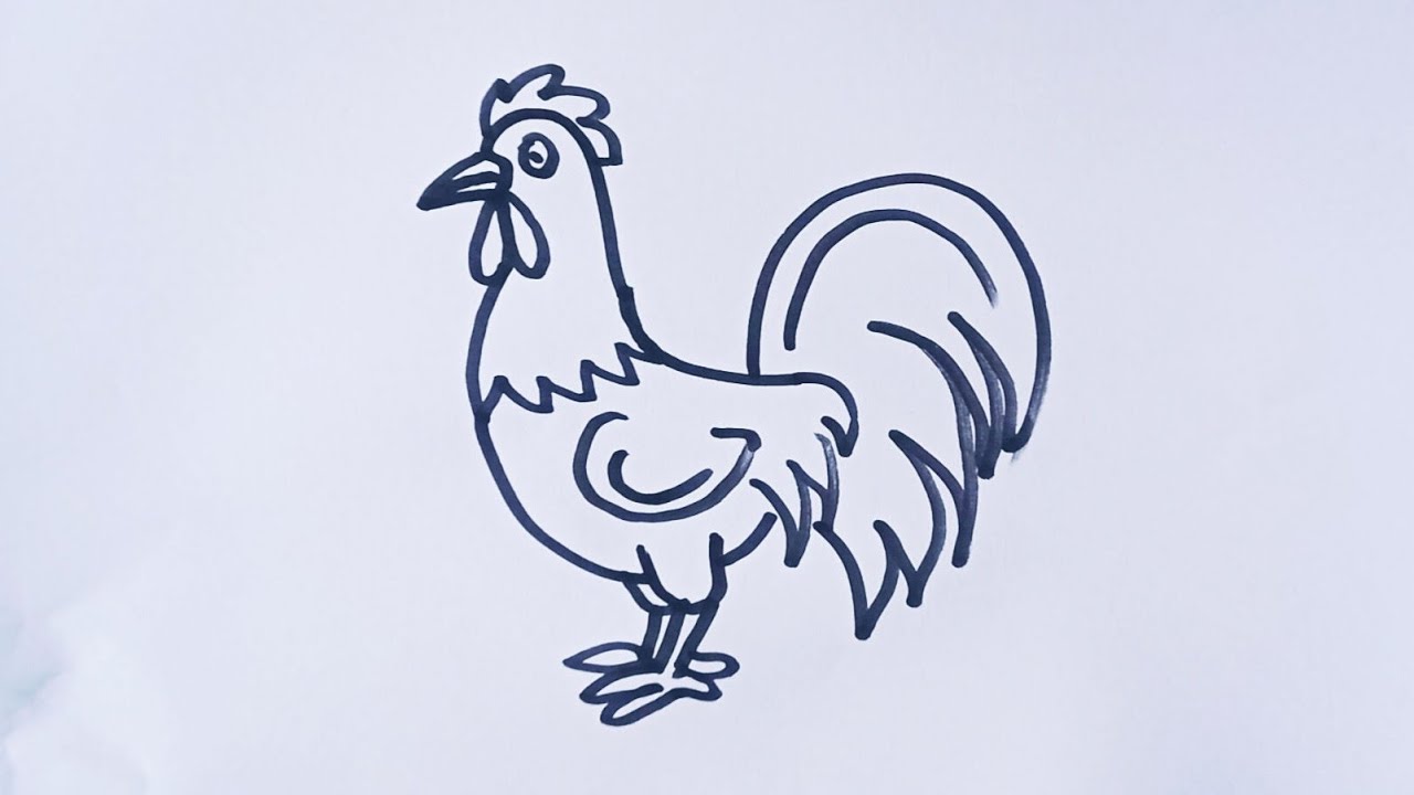 Rooster ๐ drawing easy/how to draw a rooster/Rooster drawing easy step ...