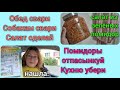 Влог 387 На дом нет времени, как белка в колесе/из Германии в Калининград