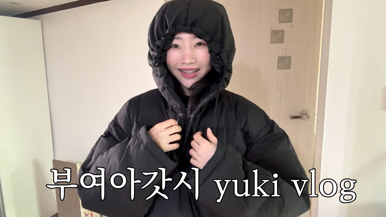 vlog. 새해맞이 포부는 크게! 프리랜서 브이로그!