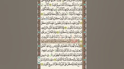 سورة الأنفال- الآيات 54 إلى 62- القارئ خليفة الطنيجي- #طوفان_الأقصى - الهدنة