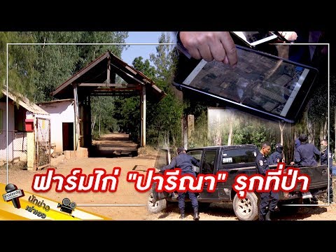 ฟาร์มไก่ "ปารีณา" รุกที่ป่า l นักข่าวเล่าเอง | ข่าวช่องวัน | one31