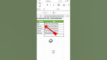 Cara Mengetik NIK di excel Agar Tidak Berubah #excel