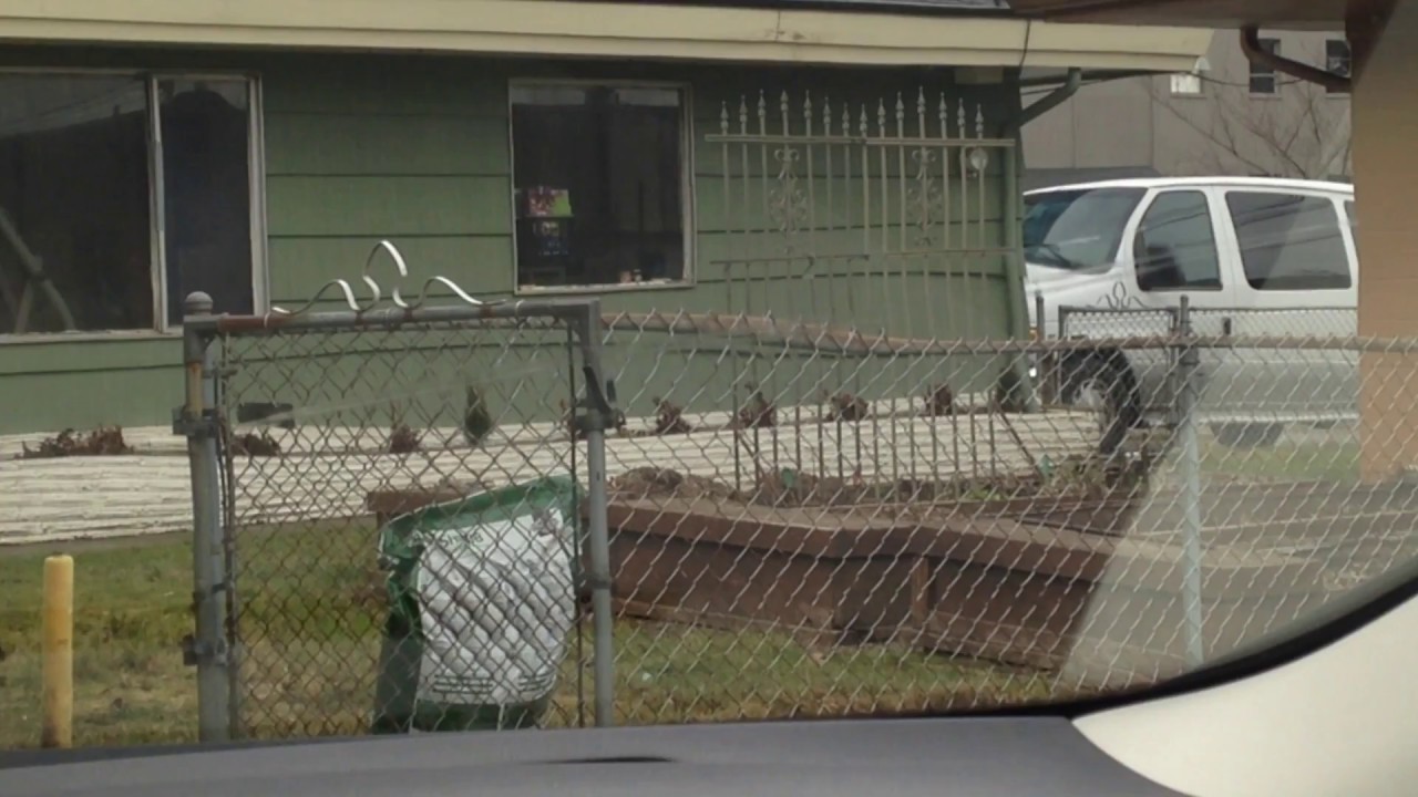 CombatCritic Thrifty Rental Car (Portland Airport