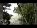 Unexpected beach encounter near port renfrew