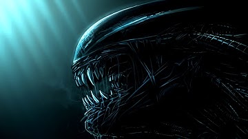 Xenomorph : Time Lapse