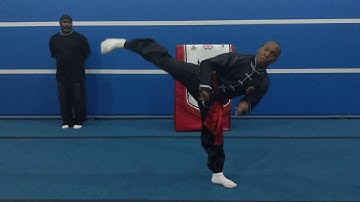 Fighting Application Free Fighting 1 Praying Mantis Kung Fu Vid 27 Sifu Bryan Barnes