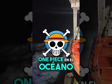 Los fans de One Piece buscan el secreto  en el océano un día después 🤡🤔 #Shorts