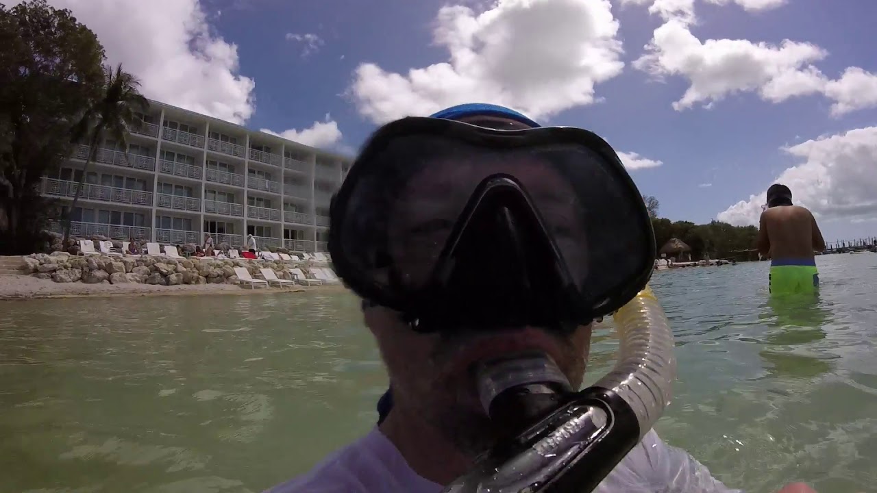2019 0330 key largo snorkel YouTube