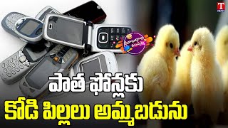 Man Selling Small Hens For Old Mobiles | T News Dhoom Dhaam Muchata screenshot 3