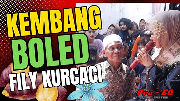 KEMBANG BOLED versi TANJIDOR live FILY KURCACI