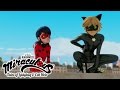 Miraculous Ladybug ANIMAN Ladybug And Cat Noir Miraculous Ladybug ANIMAN Ladybug And Cat Noir