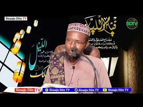 yalangoch ayollar eshaklari