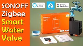 Celebrity Sonoff Zigbee Smart Water Valve Review Wealth