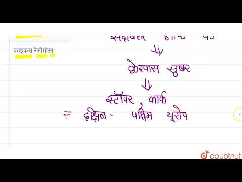 वीडियो: क्या कॉर्क के पेड़ अपनी छाल दोबारा उगाते हैं?