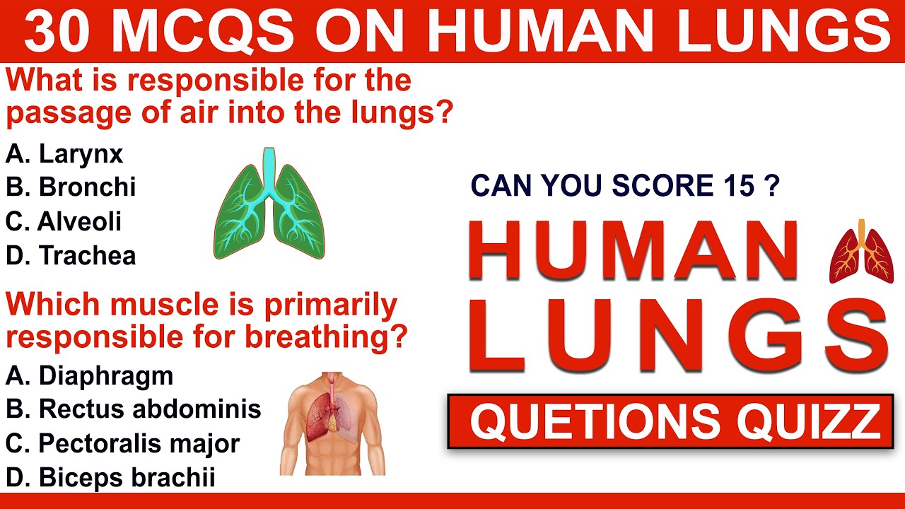 30 mcqs human lungs collections | human lungs question and answers norect | respiratory system mcqs