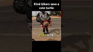 Kind bikers save stranded turtle! 🐢😊 #kindness #biker #wholesome #viral #shorts #wildlife #rescue