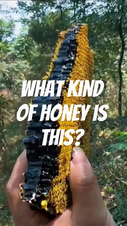 The Wild World of Hallucinogenic Honey