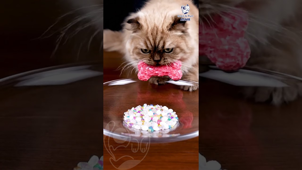 Quartz Chip Clink & SHARP PLASTIC CRUNCH