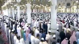 الشيخ عبد المحسن القاسم سورة التين والنصر