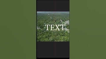 Text Align in Premiere Pro | Amazing Tips 2023 & 2024 #videoediting #adobepremierepro #easy