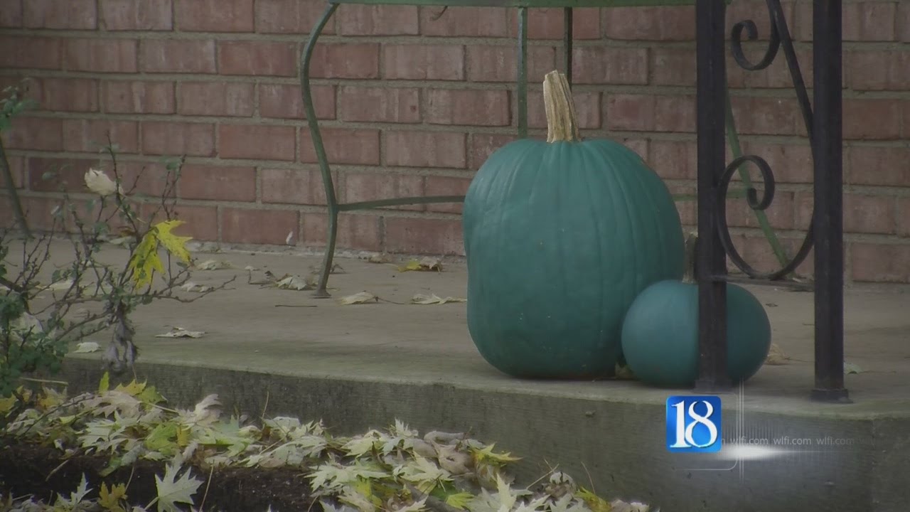 Teal pumpkins help trickortreaters with food allergies YouTube