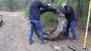 Friends Of The Black River Clark County Spring Cleanup 2019