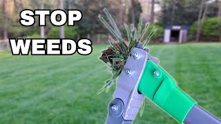 Grootpow Stand Up Weed Puller