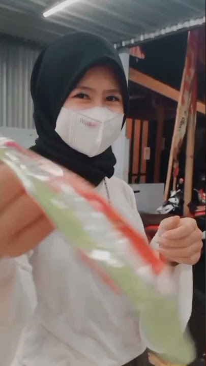 STORY WA MENTAHAN HALU SAMA CEWEK CANTIK. BUAT PRANK TEMEN, MANASIN MANTAN.