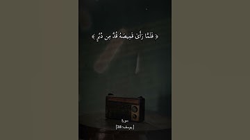 سورة يوسف بصوت الشيخ سيد سعيد رحمه الله #قرآن #قران_كريم #راحه_نفسيه #الشيخ_سيد_سعيد #funny #fyp