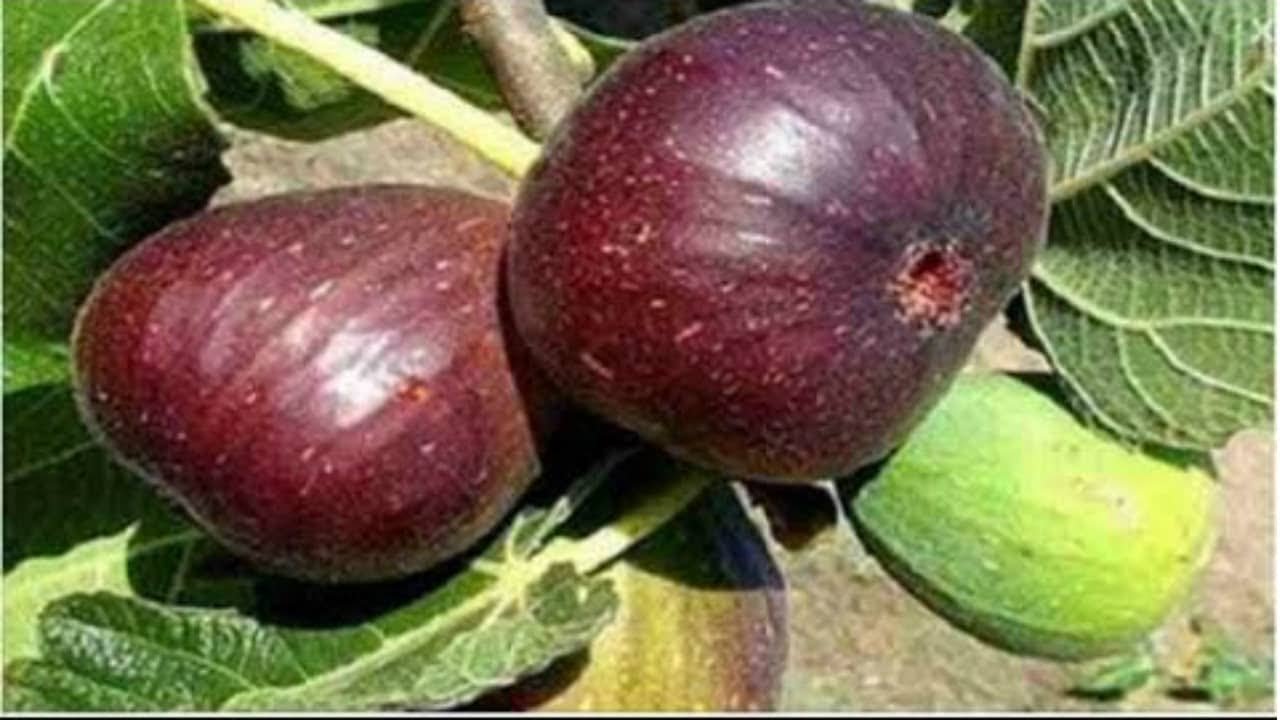 beautycon 6 Foods That Naturally Cleanse Your Blood