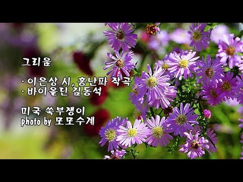 <strong>그리움</strong>/이은상 시, <strong>홍난파</strong> 작곡/바이올린 김동석 &amp;amp; photo by 모모수계