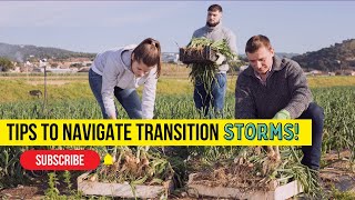 Tips to Navigate Transition Storms