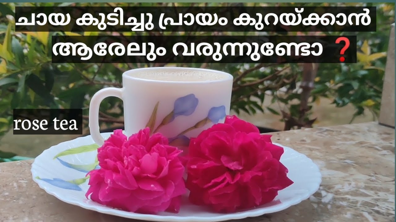 ഒരു ചായയിടൽ അപാരത /rose tea recipe/best natural anti aging tea/hizas