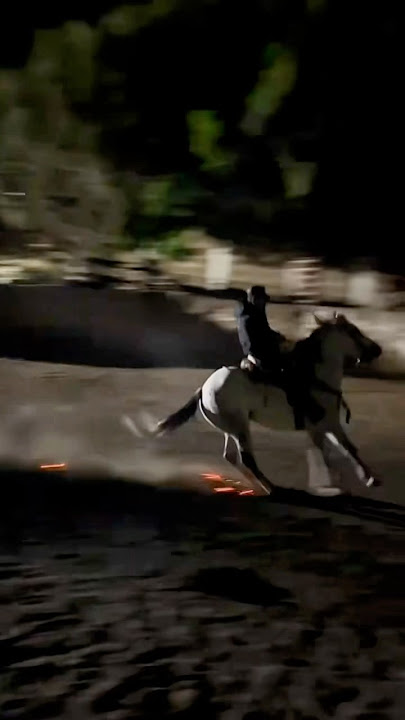 Kuda ngerem sampe keluar percikan api #shorts #horse