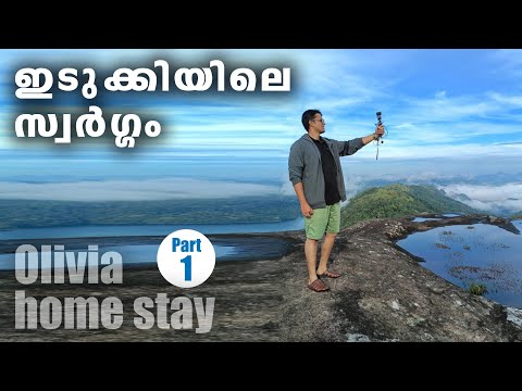 Forest stay in idukki | home stay in idukki | Budget friendly home stay in idukki/ idukki dam/PART-1