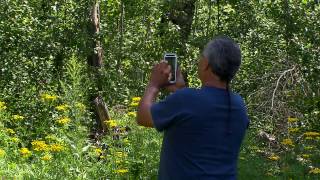 Thursday On Native Report
