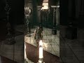 Curiosidades em Resident Evil😱 #shorts #jogos #residentevil