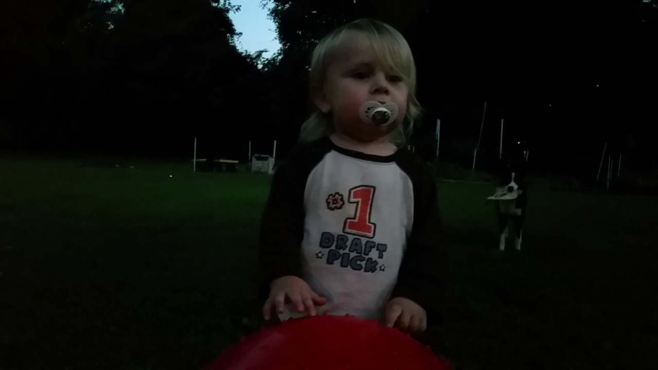 camera iphone 8 plus apk Lucas discovering fireflies