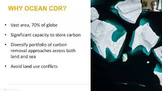 Ocean-based carbon dioxide removal: Landscape of approaches and governance considerations