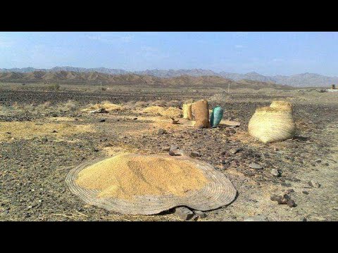 دل پہ مدوکء بند انت استاد عطااللہ بلوچ BalochHanken