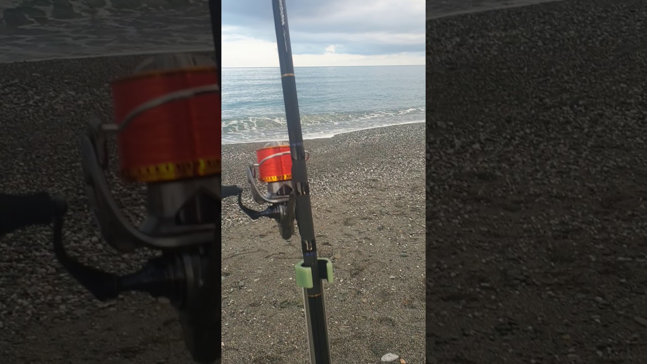 daiwa emblem surf 33